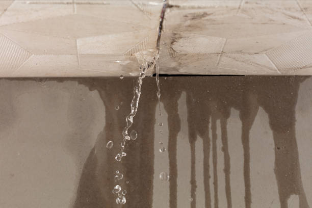 Professional Water Damage Inspection technician working in Jensen Beach, FL